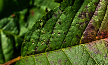 Green transition: trillions needed, billions missing