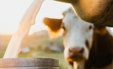 L’industria alimentare: fattore di crescita e innovazione per la ripresa economica e lo sviluppo sostenibile del Paese