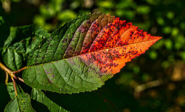 Green transition: trillions needed, billions missing