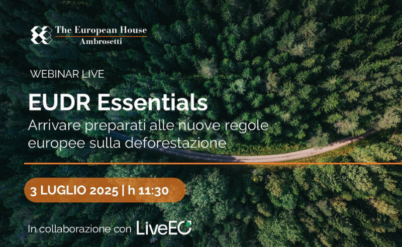 EUDR Essentials: arrivare preparati alle nuove regole europee sulla deforestazione