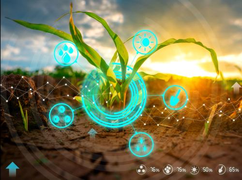 AGGIORNAMENTO PERMANENTEIN PRESENZA 
L’Agribusiness del futuro: il ruolo di sostenibilità, innovazione e nuove competenze