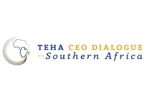 11th TEHA CEO DIALOGUE on Southern Africa
