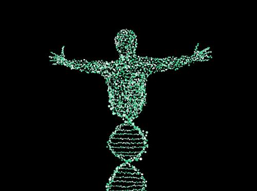 AMBROSETTI MANAGEMENTVIA WEB 

Cromosoma innovazione: come la tecnologia riscrive la genetica delle aziende