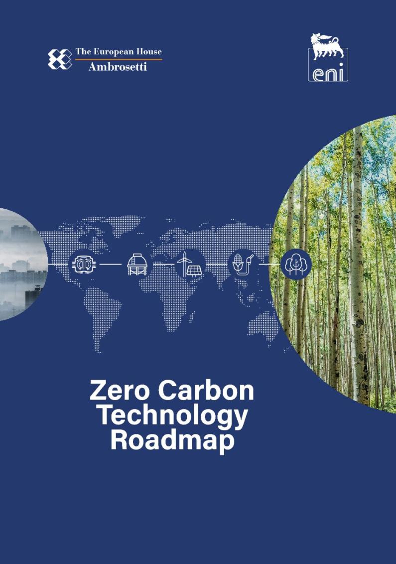 Study - Proposal for a Zero Carbon technology roadmap