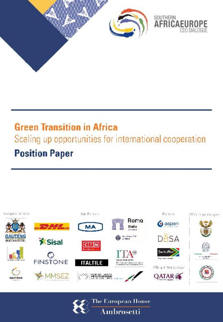 Position Paper - Green Transition in Africa
