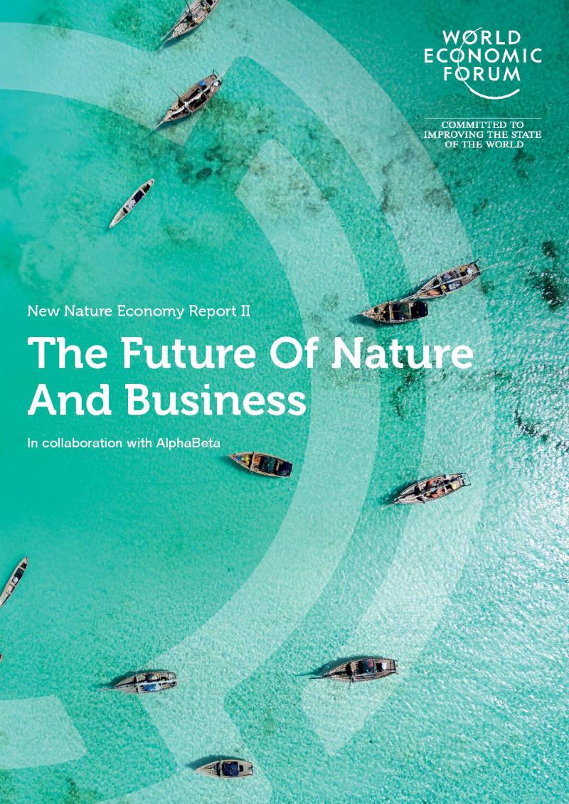 The Future Of Nature And Business