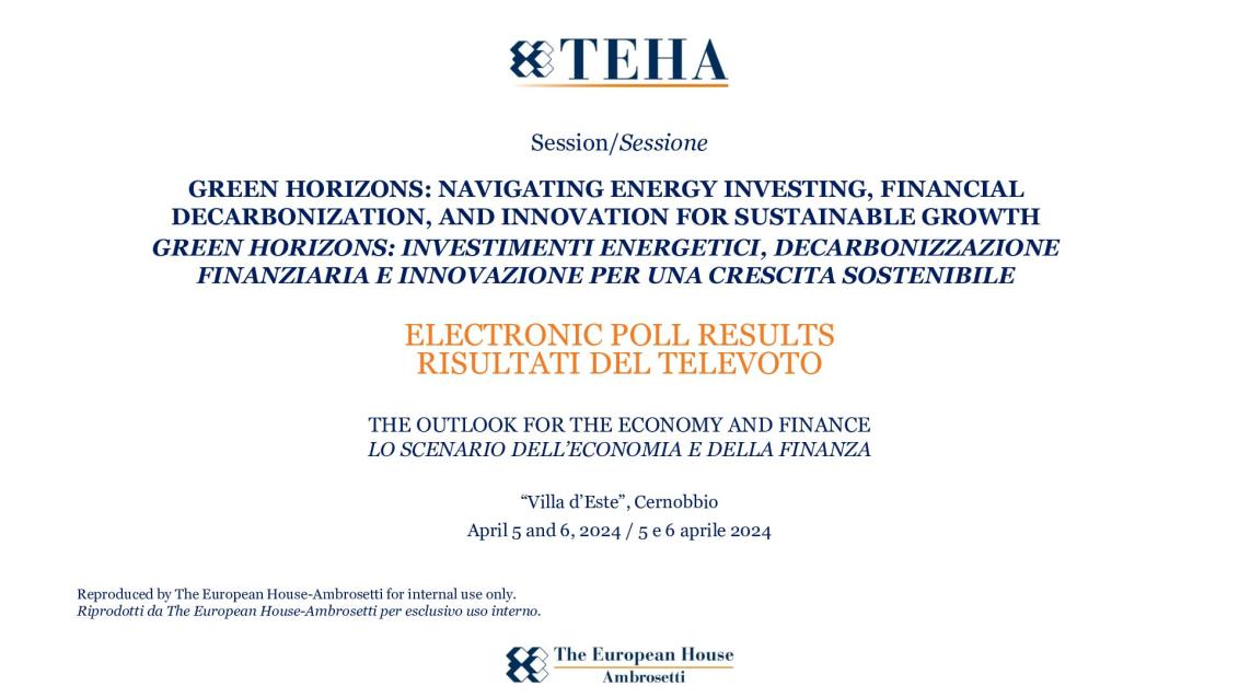 Workshop 2024 - Electronic poll results: Green Horizons