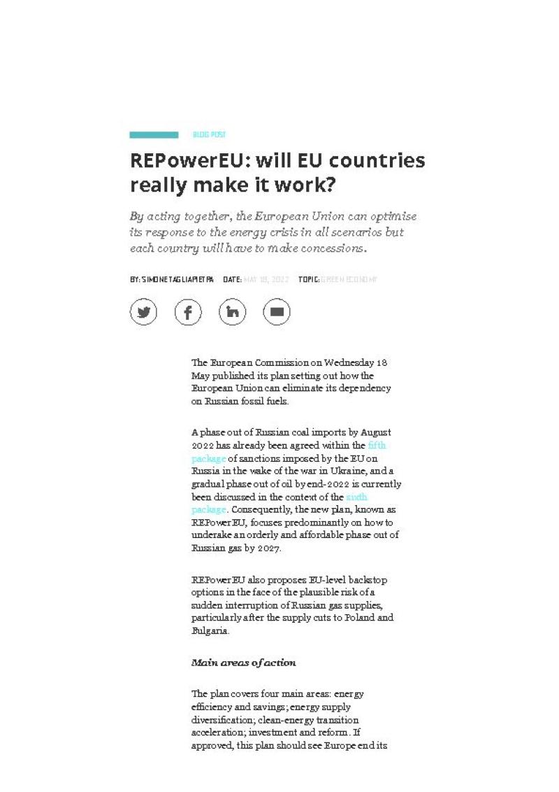 REPowerEU: will EU countries really make it work?