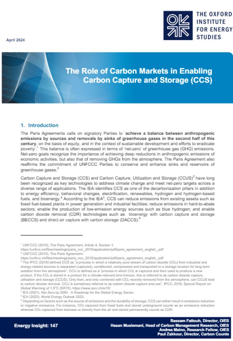 The Role of Carbon Markets in Enabling Carbon Capture and Storage (CCS)