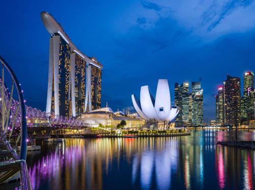LEADER DEL FUTUROVIAGGIO 
EVENTO FUORI PROGRAMMA
Singapore: fenomeno Smart Nation